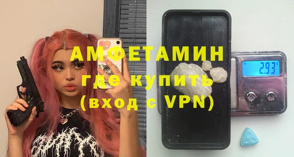 молекула духа Каменка