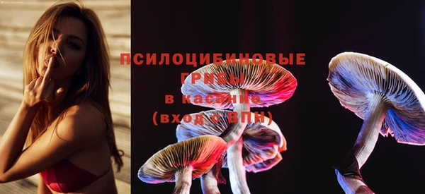 молекула духа Иннополис