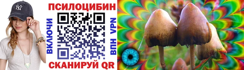 ОМГ ОМГ ССЫЛКА  Шадринск  Псилоцибиновые грибы GOLDEN TEACHER 