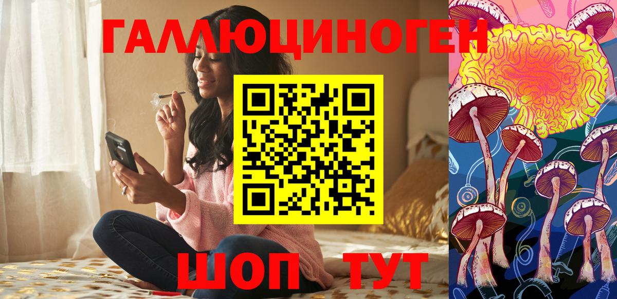 Псилоцибиновые грибы мицелий Шадринск